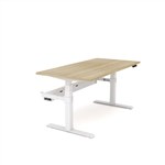 Electric Height Adjustable Single Sided  Scalloped Desk 1500mm x 750mm  New Oak Top White Frame